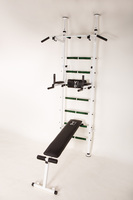 Шведская стенка Эней, турник с параллельным хватом. Доставка по Украине