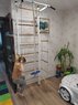 Шведская стенка Кипарис с диском тарзанкой