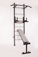 Шведская стенка Powerful GRAY