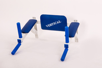 Брусья  настенные "Тритон" от завода производителя