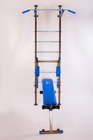 Шведкая стенка « Gilt » от завода 