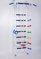 Детская шведская стенка Альбатрос с тарзанкой 