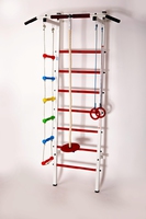 Шведская стенка Mini Gym Child с диском - тарзанка