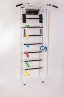 Шведская стенка Олимп - 3 (с детским навесным оборудованием) 